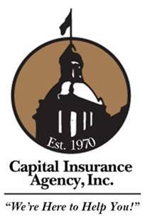 Agent Logo