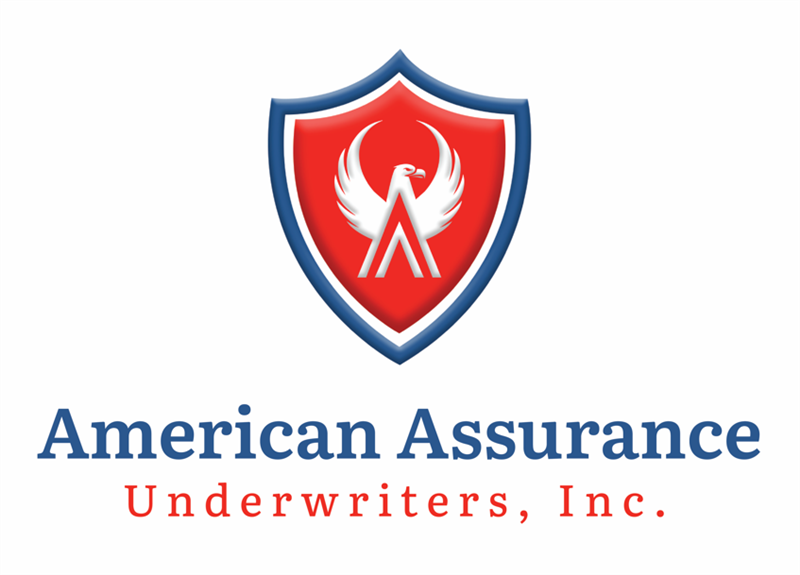 Agent Logo