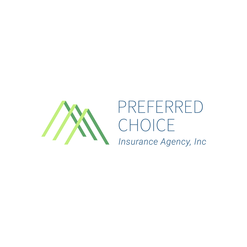 Agent Logo